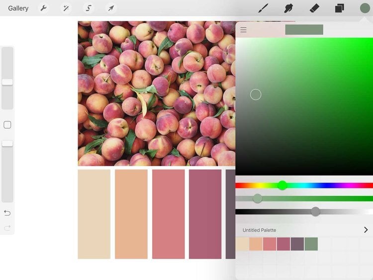 Final color palette in procreate