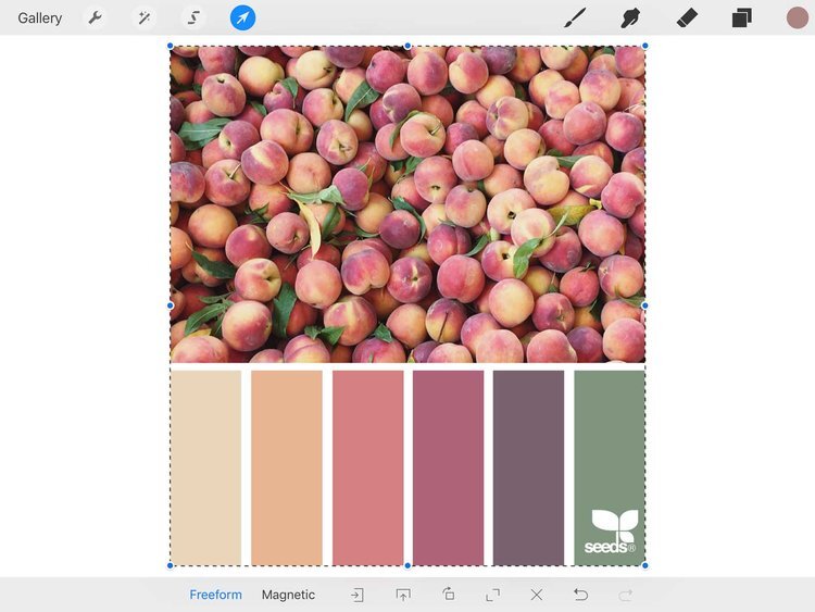 Import design seeds palette into pro create